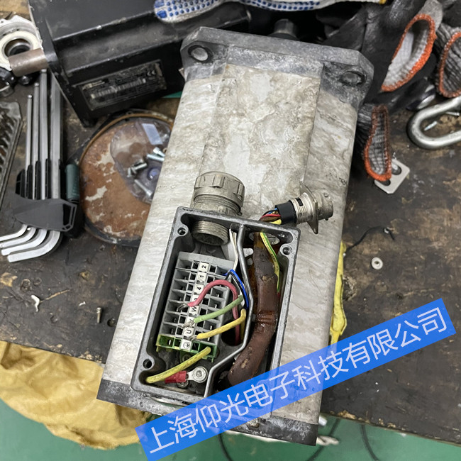 ELMO�ŷ�늙C�S�޳�Ҋ���Ͽ��Y ���M�z�y